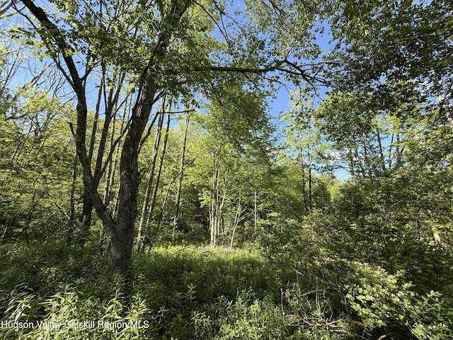 383 Ferndale Loomis Rd, Liberty, NY 12754 - photo 8