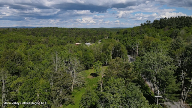383 Ferndale Loomis Rd, Liberty, NY 12754 - photo 4