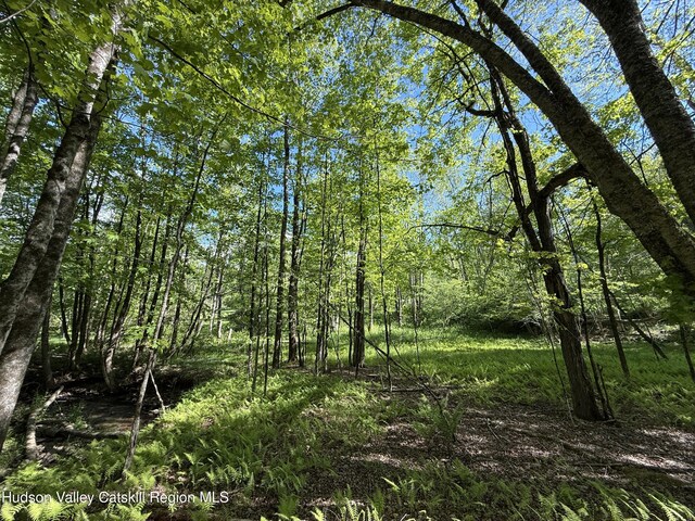 383 Ferndale Loomis Rd, Liberty, NY 12754 - photo 14