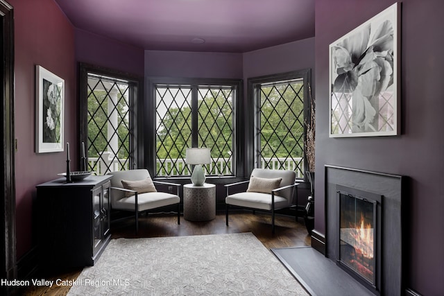 sitting room with dark hardwood / wood-style floors