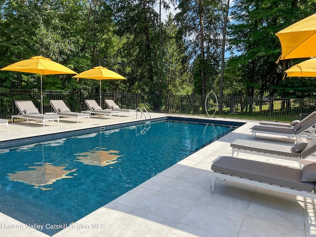 view of swimming pool with a patio