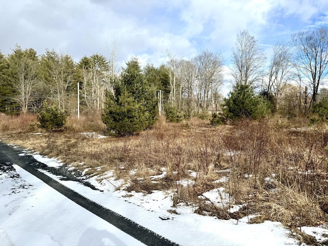 Listing photo 3 for 547 Glenford-Wittenberg Rd, Bearsville NY 12409