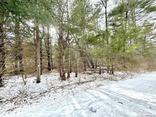 547 Glenford-Wittenberg Rd, Bearsville NY, 12409 land for sale