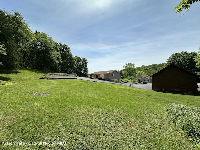 50 County Rte 26, Coxsackie, NY 12192 - view of grassy yard