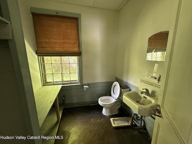 50 County Rte 26, Coxsackie, NY 12192 - half bathroom featuring a sink, wood finished floors, plenty of natural light, toilet, and wainscoting