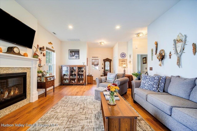 living room with wood-type flooring