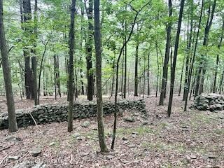 0 Piney Woods Rd, Bearsville NY, 12409 land for sale