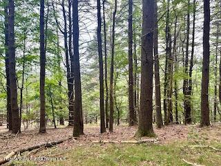 Listing photo 2 for 0 Piney Woods Rd, Bearsville NY 12409