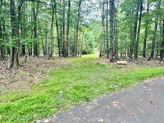 Listing photo 3 for 0 Piney Woods Rd, Bearsville NY 12409