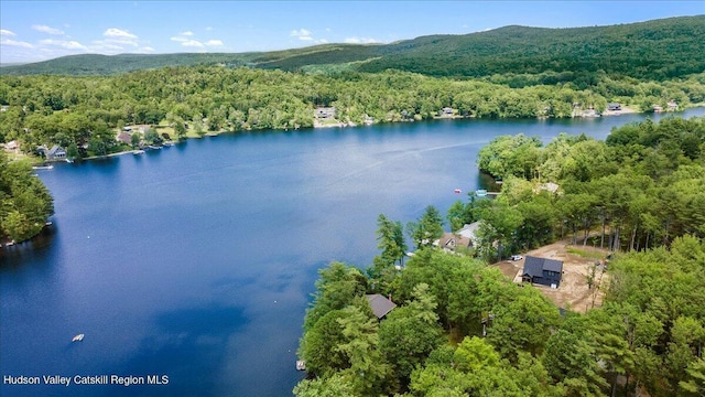 162 Methodist Farm Rd, Averill Park, NY 12018 - bird's eye view of a water and mountain view