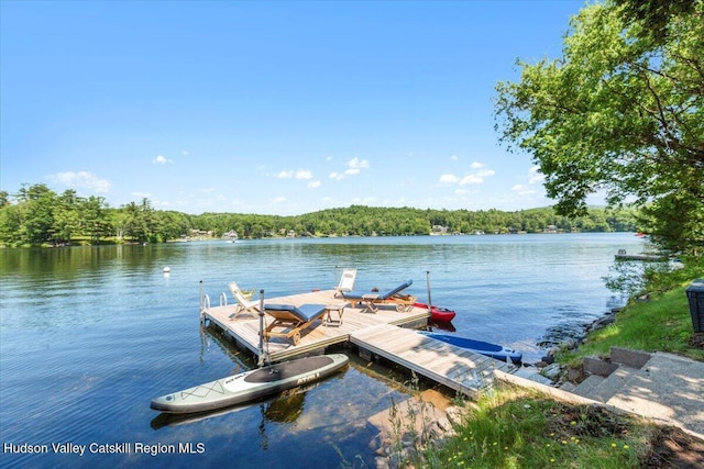 162 Methodist Farm Rd, Averill Park, NY 12018 - dock featuring a water view and a view of trees