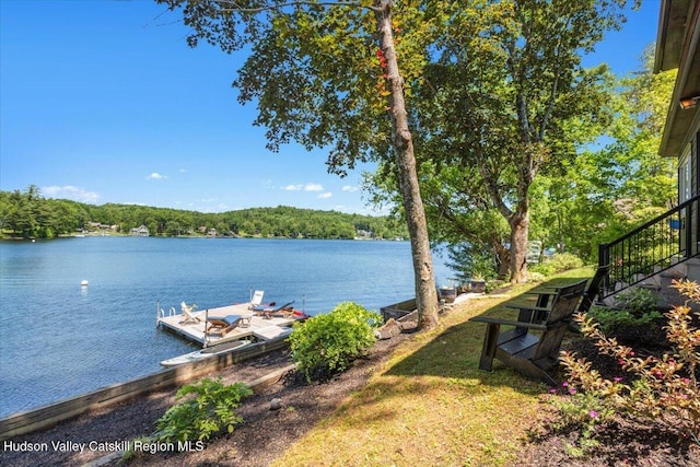 162 Methodist Farm Rd, Averill Park, NY 12018 - view of yard with a water view and a boat dock