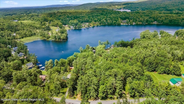 162 Methodist Farm Rd, Averill Park, NY 12018 - bird's eye view of a forest and a nearby body of water