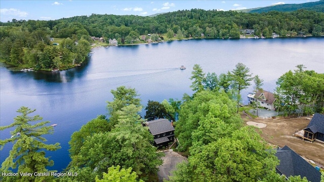162 Methodist Farm Rd, Averill Park, NY 12018 - bird's eye view of a large body of water and a heavily wooded area