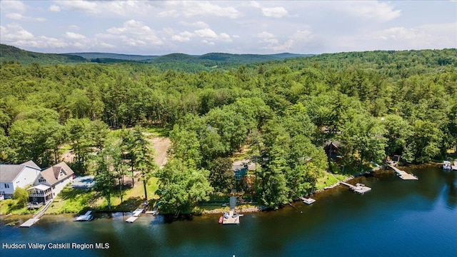162 Methodist Farm Rd, Averill Park, NY 12018 - aerial view of a forest and a nearby body of water
