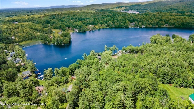 162 Methodist Farm Rd, Averill Park, NY 12018 - aerial overview of property's location featuring a forest and a nearby body of water