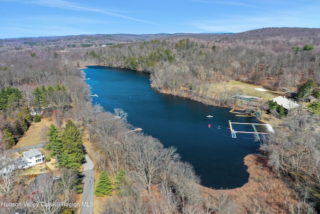 412 Sepasco Center St, Rhinebeck, NY 12572 - photo 33