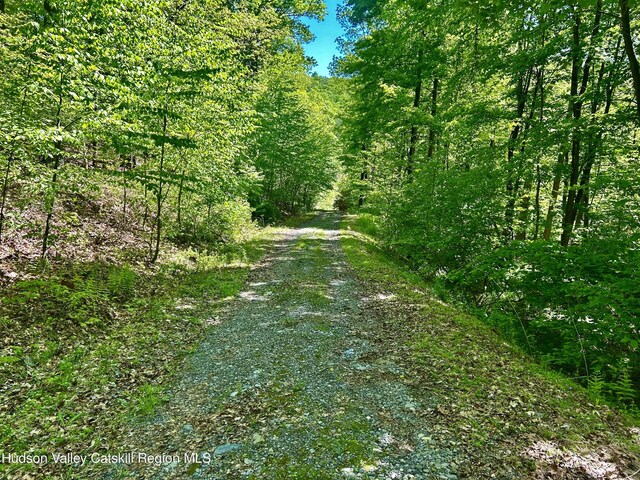 285 S Rd, Stanfordville, NY 12581
