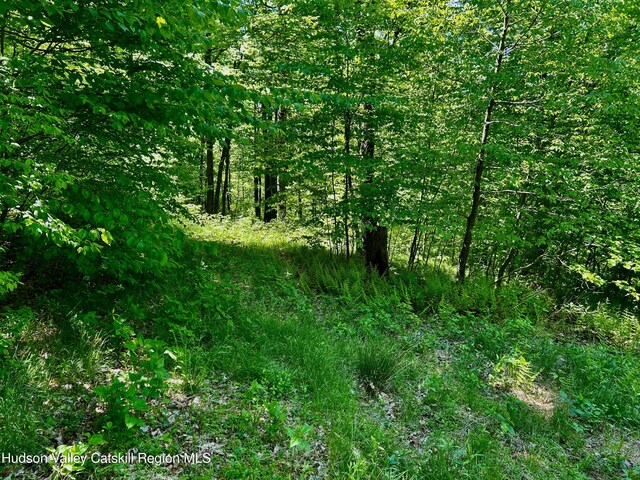 285 S Rd, Stanfordville, NY 12581
