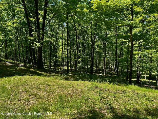 285 S Rd, Stanfordville, NY 12581