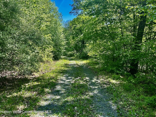 285 S Rd, Stanfordville, NY 12581