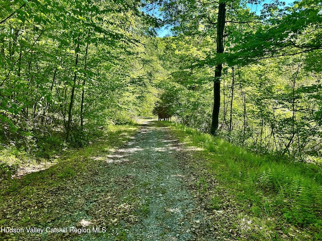 285 S Rd, Stanfordville, NY 12581