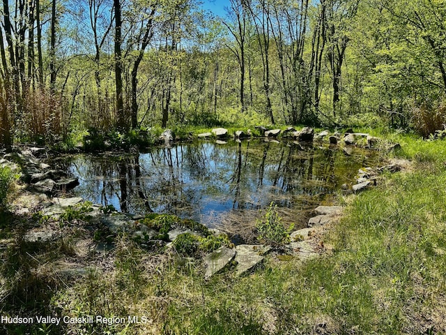 285 S Rd, Stanfordville, NY 12581