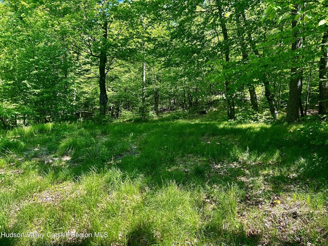 285 S Rd, Stanfordville, NY 12581