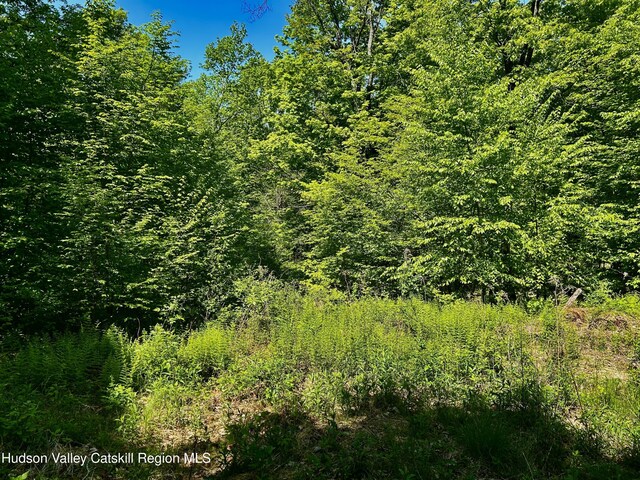 285 S Rd, Stanfordville, NY 12581