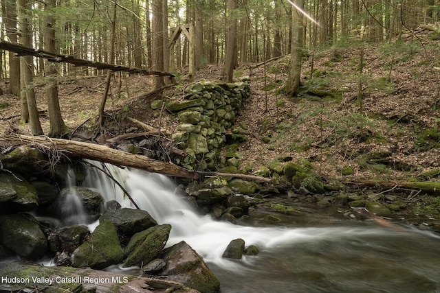 70 Reardon York Ests, Canaan, NY 12029 - view of woods
