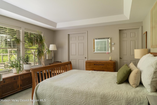70 Reardon York Ests, Canaan, NY 12029 - bedroom featuring a raised ceiling