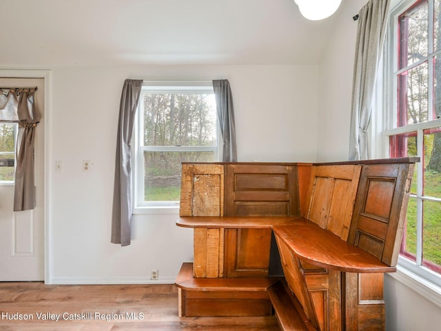 unfurnished dining area featuring light hardwood / wood-style floors