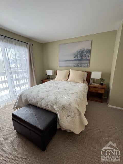 166 Hunter Dr Unit V-5, Hunter, NY 12442 - photo 11