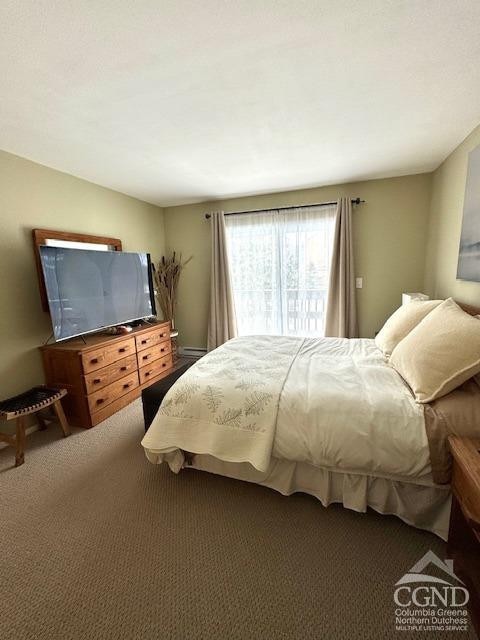 166 Hunter Dr Unit V-5, Hunter, NY 12442 - photo 12