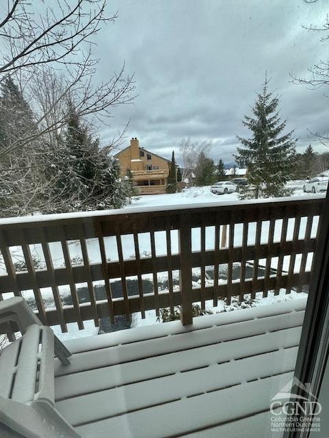 166 Hunter Dr Unit V-5, Hunter, NY 12442 - photo 30