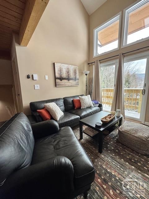 166 Hunter Dr Unit V-5, Hunter, NY 12442 - photo 29