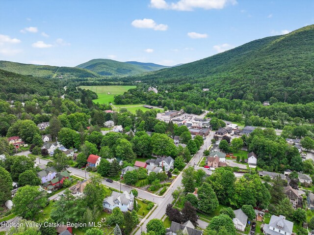 144 Walnut St, Margaretville, NY 12455 - photo 42
