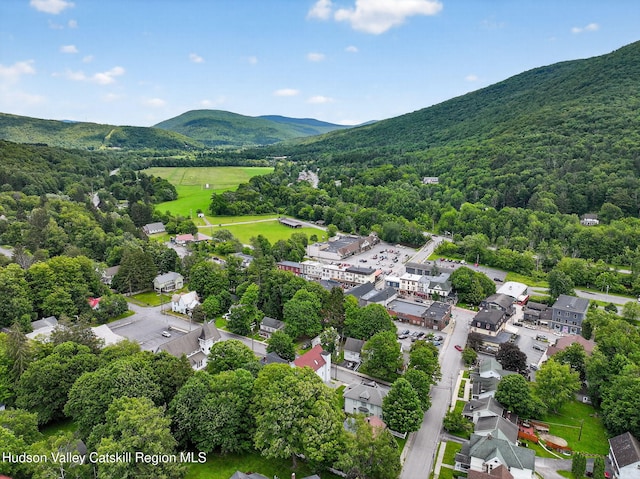 144 Walnut St, Margaretville, NY 12455 - photo 40
