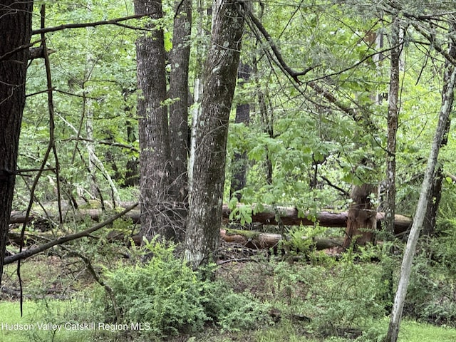 00 Whites Ln, Woodstock, NY 12498 - photo 2