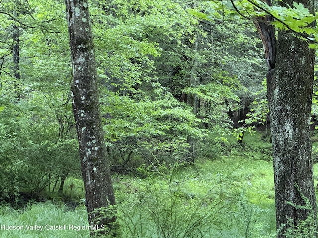 00 Whites Ln, Woodstock, NY 12498 - photo 6