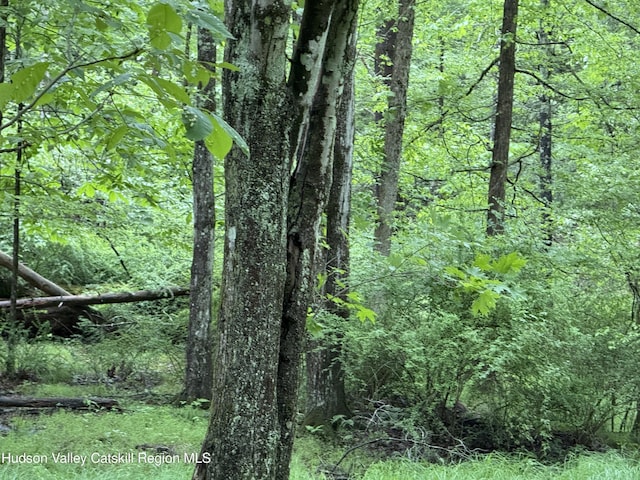 00 Whites Ln, Woodstock, NY 12498 - photo 5