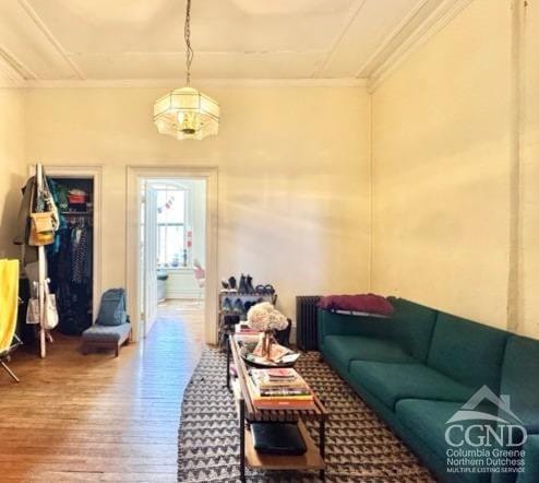 22 Liberty St, Catskill, NY 12414 - living room with wood-type flooring and ornamental molding