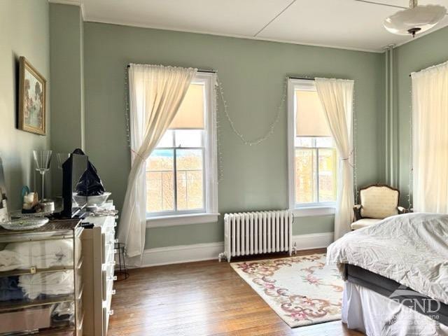 22 Liberty St, Catskill, NY 12414 - bedroom featuring radiator, wood finished floors, and baseboards
