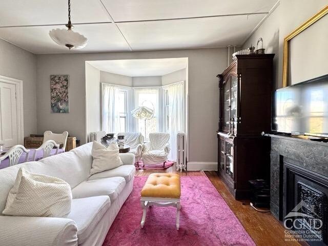 22 Liberty St, Catskill, NY 12414 - living area with wood finished floors, a premium fireplace, and baseboards