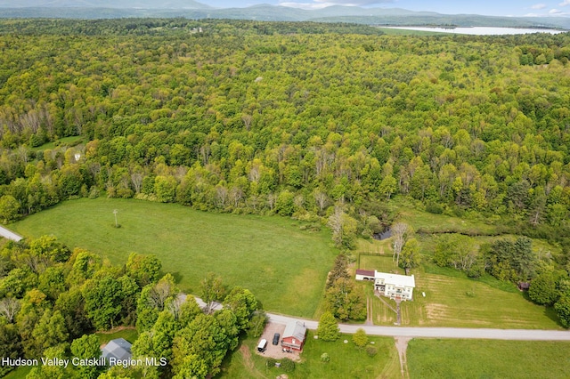 279 Maybie Rd, Gilboa, NY 12076 - aerial view of property's location with a forest