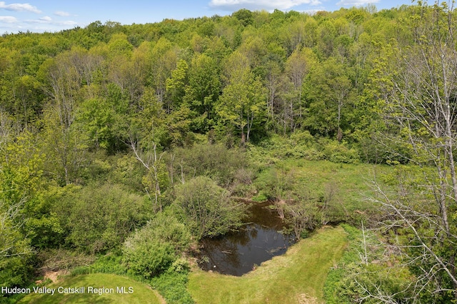 279 Maybie Rd, Gilboa, NY 12076 - drone / aerial view of a forest