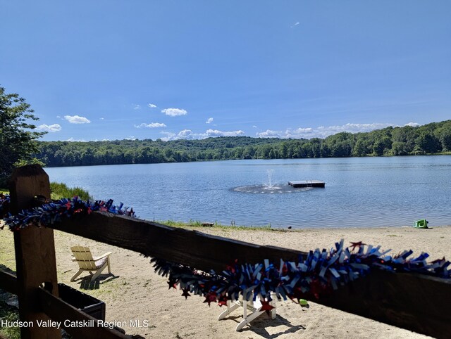 39 Shore Dr, Blooming Grove, NY 10914 - photo 69