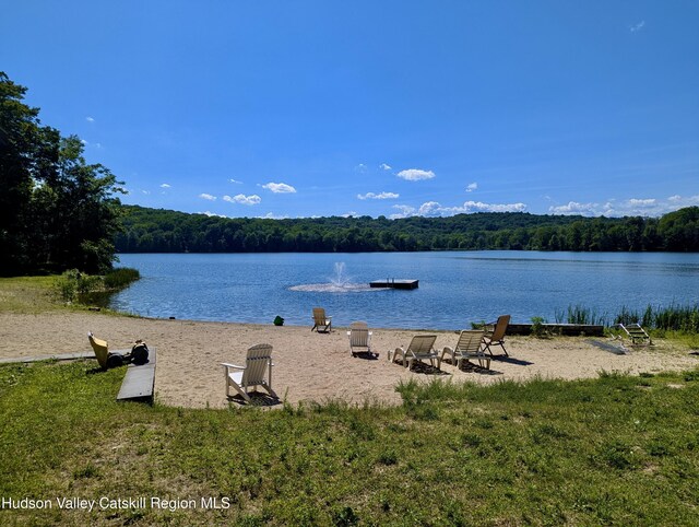 39 Shore Dr, Blooming Grove, NY 10914 - photo 67