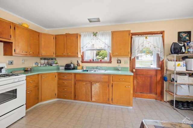 16 Union Tpke, Hudson, NY 12534 - kitchen with white gas range, a sink, healthy amount of natural light, light countertops, and crown molding