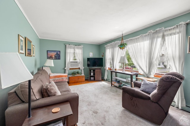 16 Union Tpke, Hudson, NY 12534 - living room with ornamental molding and carpet